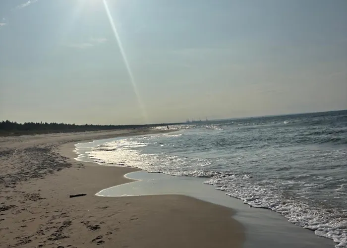 Momula's Pino Sobieszewo 公寓 *